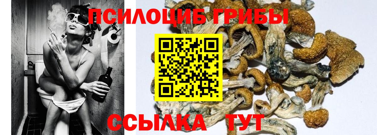 Меф МЯУ МЯУ кристаллы  Гашиш  ГАШ  Cocaine  Вход с VPN  НБОМе  Мурино  Меф  АМФЕТАМИН кристаллы  Канабис 